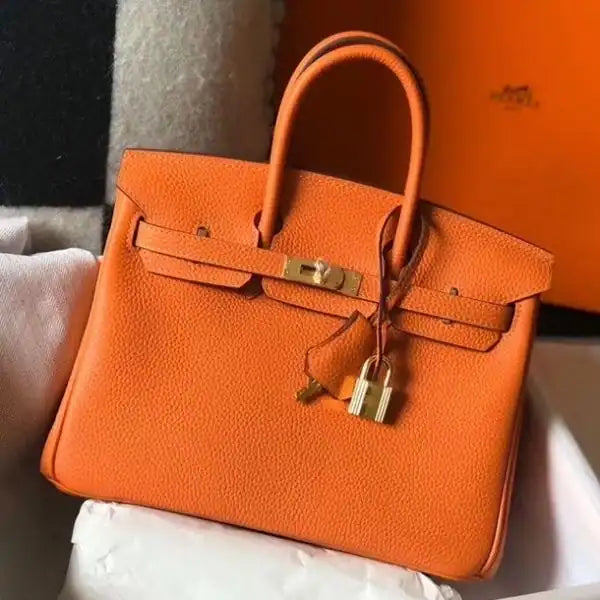 Hermes Birkin 25cm Bag In Orange Clemence Leather GHW – HW007