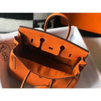 Hermes Birkin 25cm Bag In Orange Clemence Leather GHW – HW007