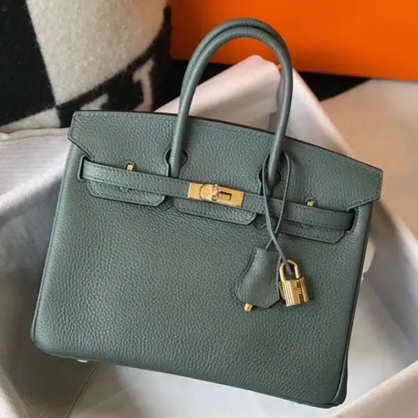 Hermes Birkin 25cm Bag In Vert Amande Clemence Leather GHW – HW008
