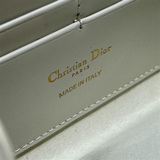 DIOR BOBBY EAST-WEST POUCH WITH CHAIN LATTE SMOOTH CALFSKIN – DOB099