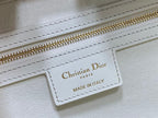 DIOR PARISIENCE BAG WHITE – DOB097