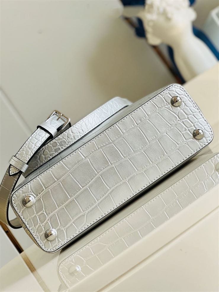 LOUIS VUITTON CAPUCINES BB Silver – LW064