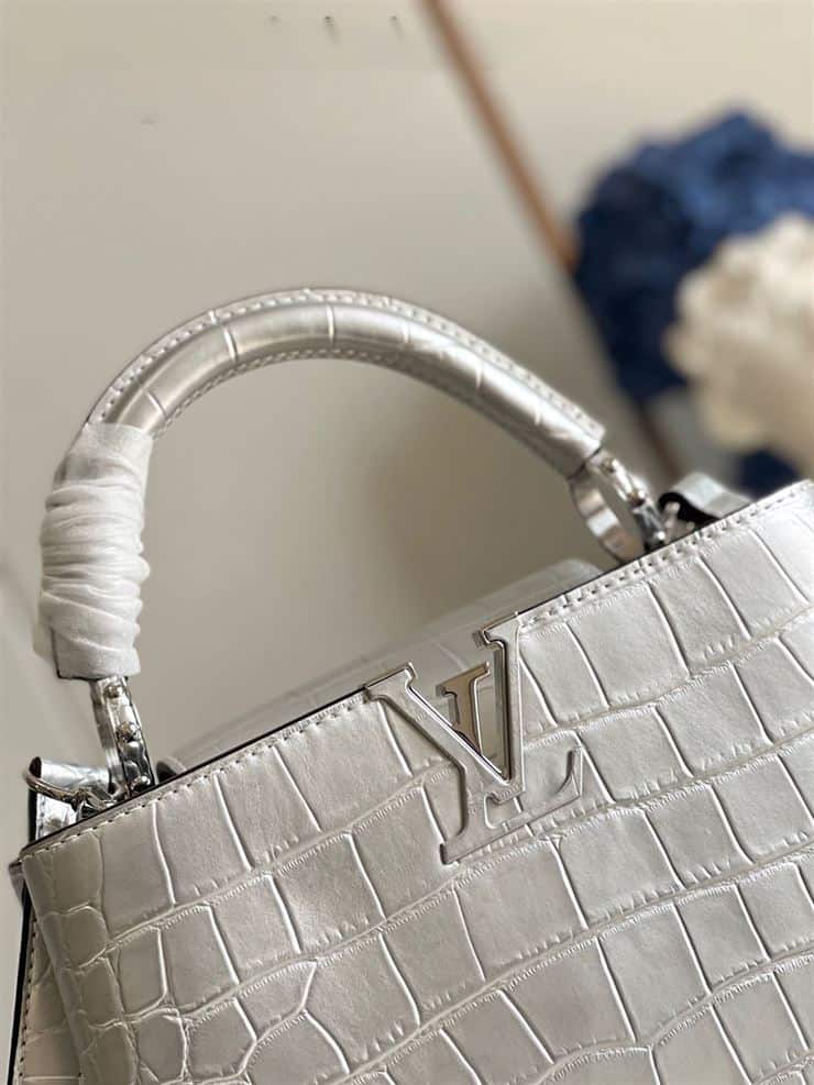 LOUIS VUITTON CAPUCINES BB Silver – LW064