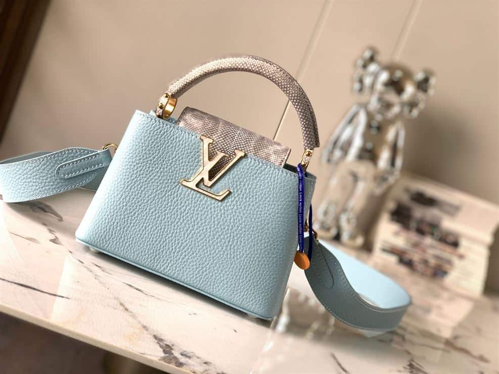 LOUIS VUITTON CAPUCINES MINI – LW028