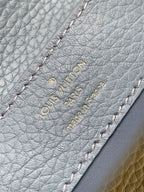 LOUIS VUITTON CAPUCINES MINI – LW028