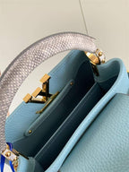 LOUIS VUITTON CAPUCINES MINI – LW028