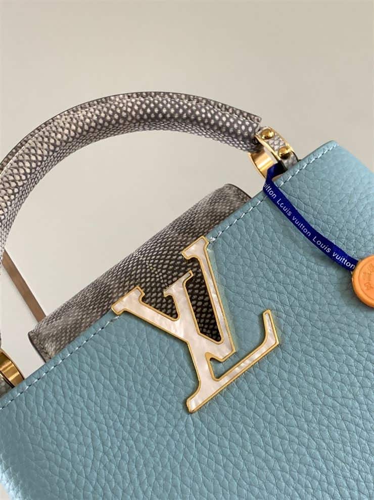 LOUIS VUITTON CAPUCINES MINI – LW028