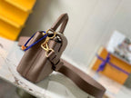 LOUIS VUITTON CAPUCINES MINI – LW046