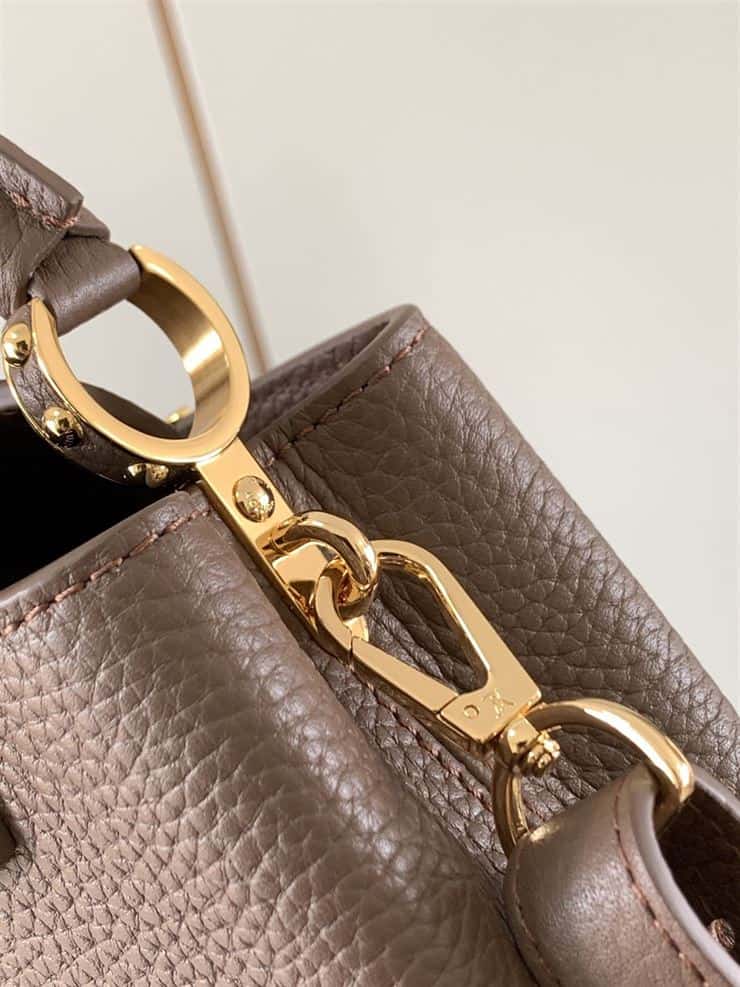 LOUIS VUITTON CAPUCINES MINI – LW046