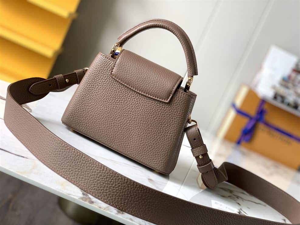 LOUIS VUITTON CAPUCINES MINI – LW046