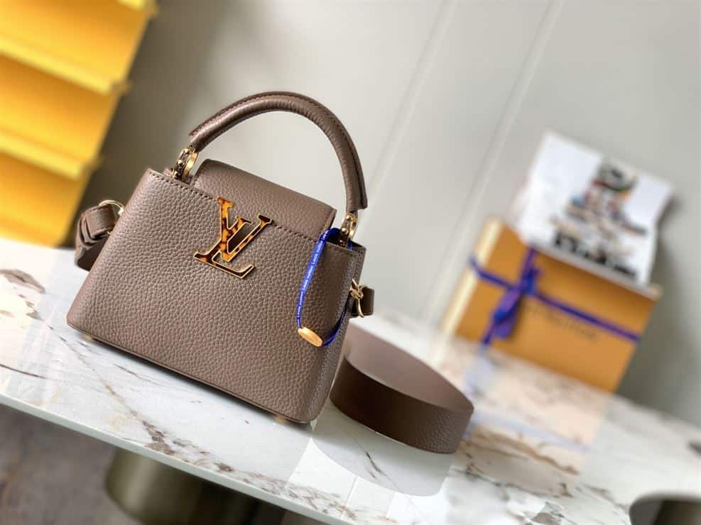 LOUIS VUITTON CAPUCINES MINI – LW046