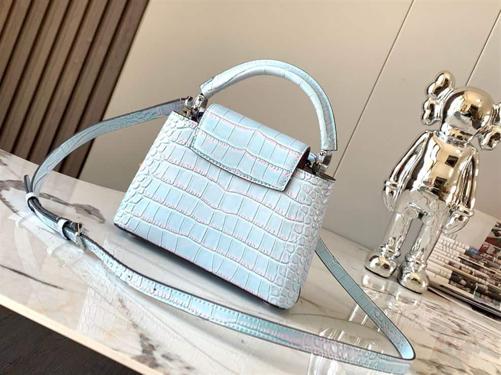 LOUIS VUITTON CAPUCINES MINI Light Blue – LW053