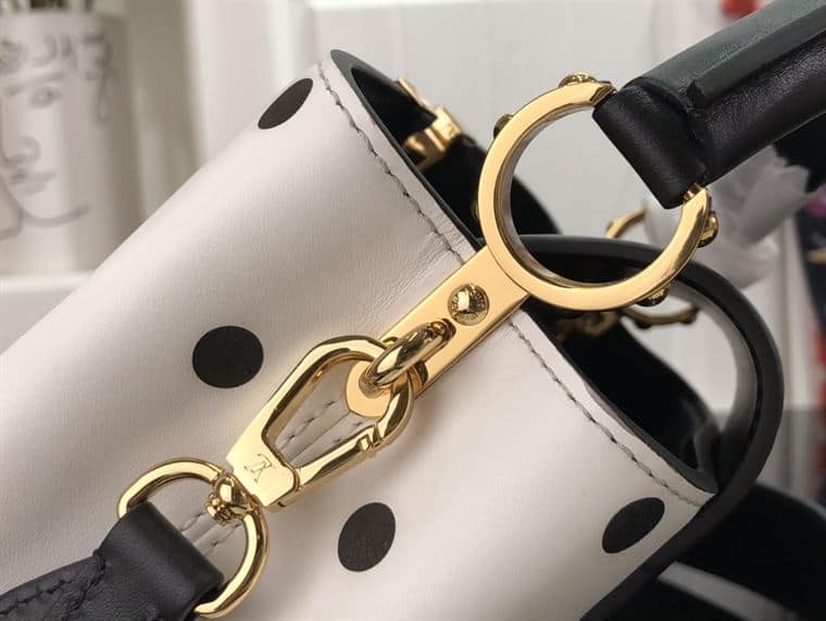 LOUIS VUITTON CAPUCINES MINI White and Black – LW094