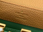 LOUIS VUITTON CAPUCINES MINI BROWN – LW105