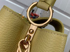 LOUIS VUITTON CAPUCINES MM Yellow – LW099