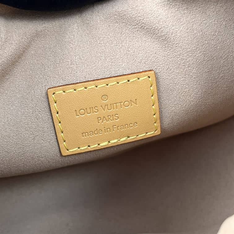 LOUIS VUITTON LOOP HANDBAG MONOGRAM BROWN – LW029