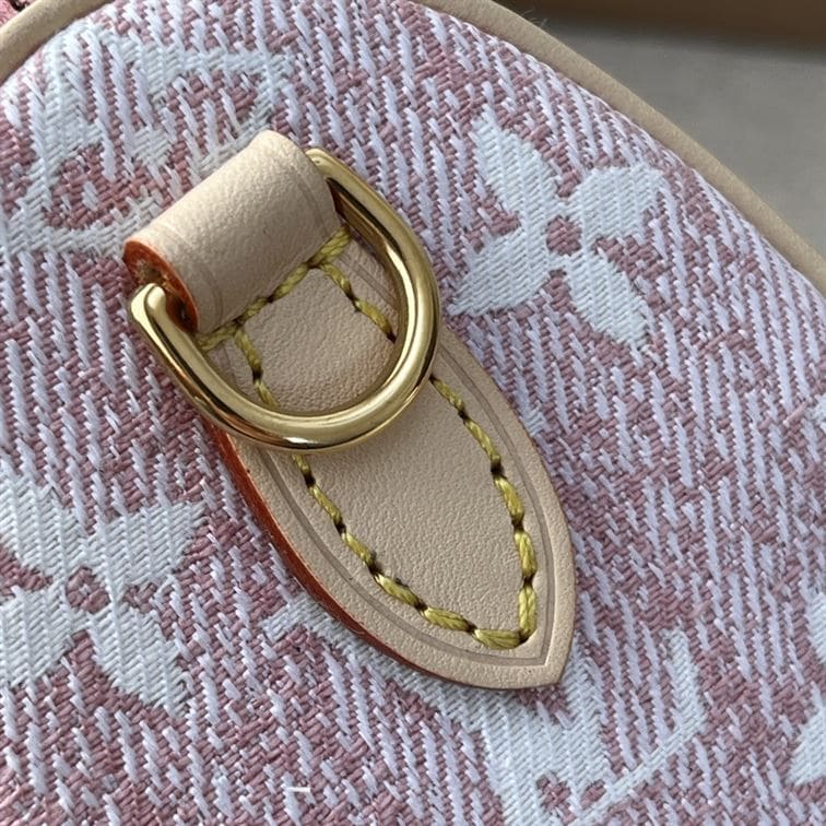 LOUIS VUITTON NANO SPEEDY PINK – LW132