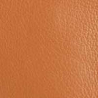 The Francesca Convertible Clutch
